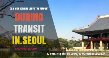 Mongolian Transit Travellers: Exploring Seoul on a Layover