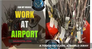 Beagles at the Airport: Working Dogs or No?