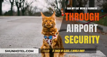 Airport Security: Can Cats Wear Harnesses?