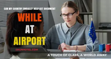 Embassies: Quick Document Support at Airports?