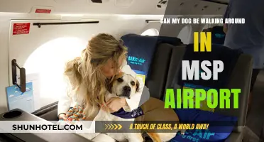 MSP Airport: Can Dogs Walk Around?