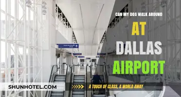 Dallas Airport: Can Dogs Freely Roam?