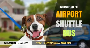 Airport Shuttle Bus: Can Your Pet Come Along?