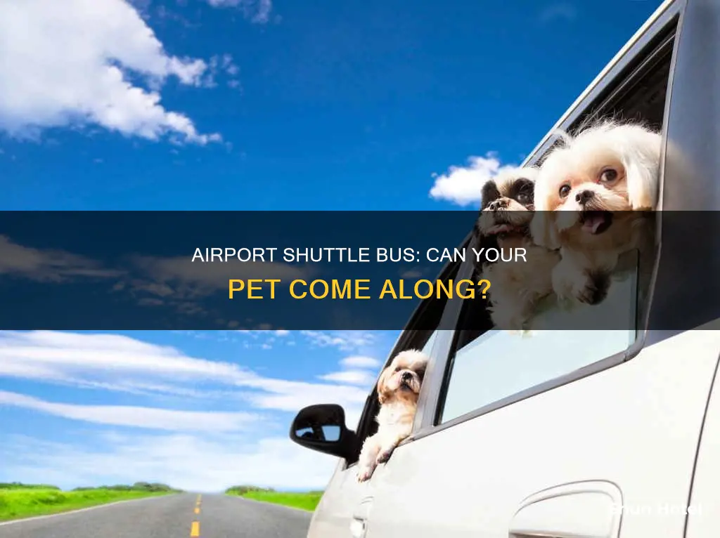 can my pet use the airport shuttle bus