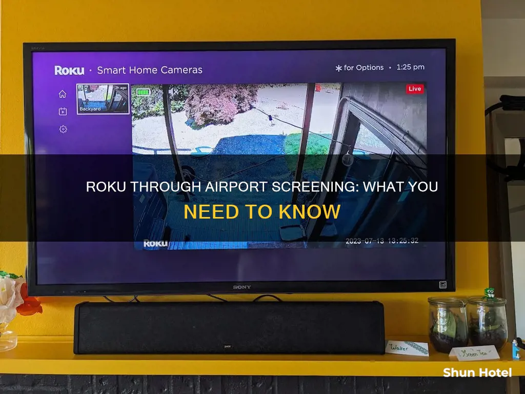 can my roku go through airport screening