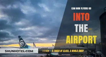 Exploring Airport Terminals: Non-Flyer Access