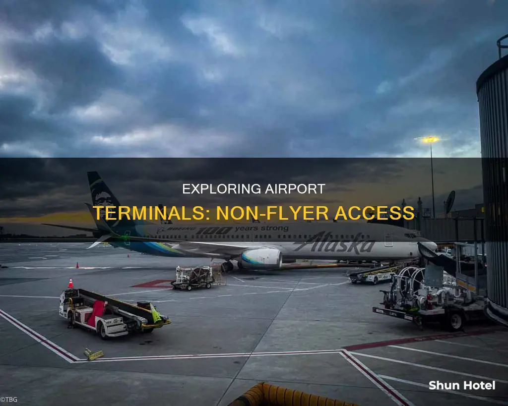 can non flyers go into the airport