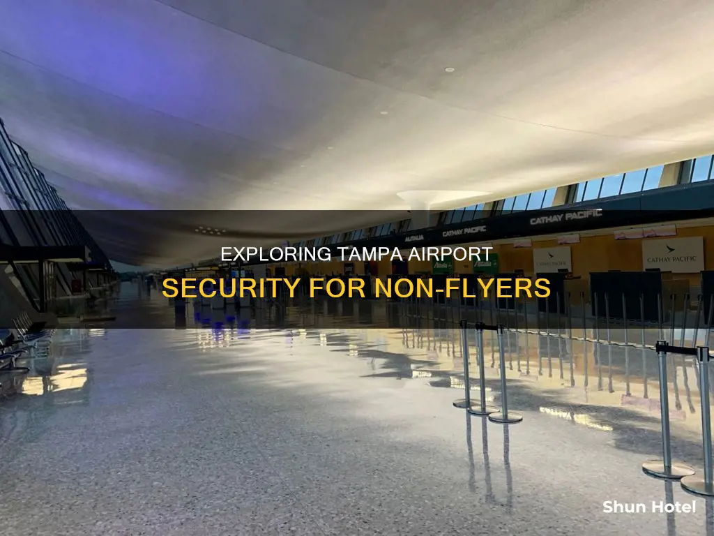 can non flyers go through security at tampa international airport