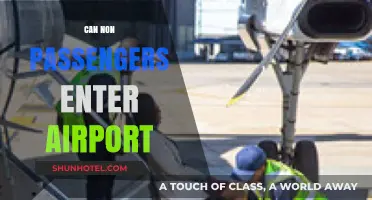 Exploring Airport Access: Who Can Enter?