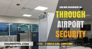 Airport Security: Can Non-Passengers Go Through?