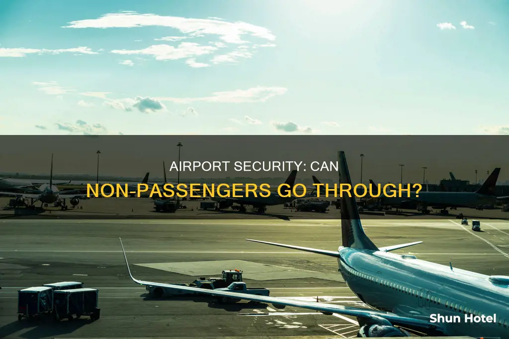 can non passengers go through airport security