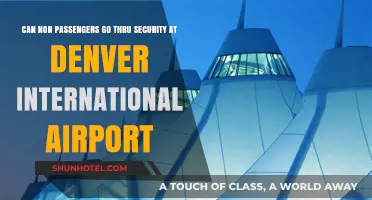 Denver Airport Security: Can Non-Passengers Access Gates?