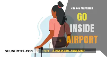 Exploring Airport Terminals: Non-Traveller Access