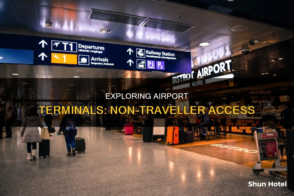 can non travellers go inside airport