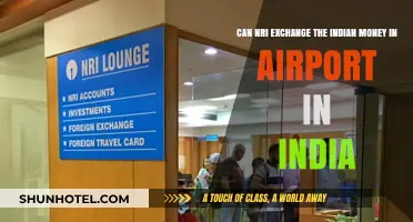 Exchanging Currency: NRIs at Indian Airports