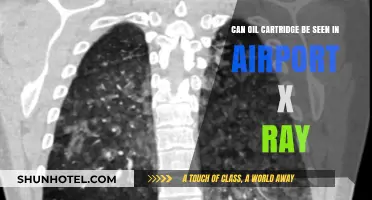 Airport Security: Can Oil Cartridges Be Detected?
