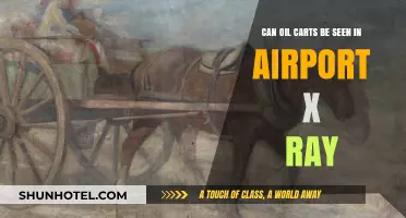 Airport X-rays: Can Oil Carts Be Detected?