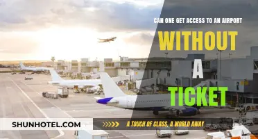 Exploring Ticketless Access to Airport Terminals