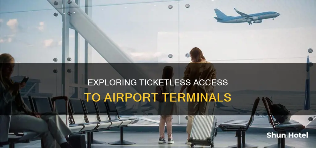 can one get access to an airport without a ticket