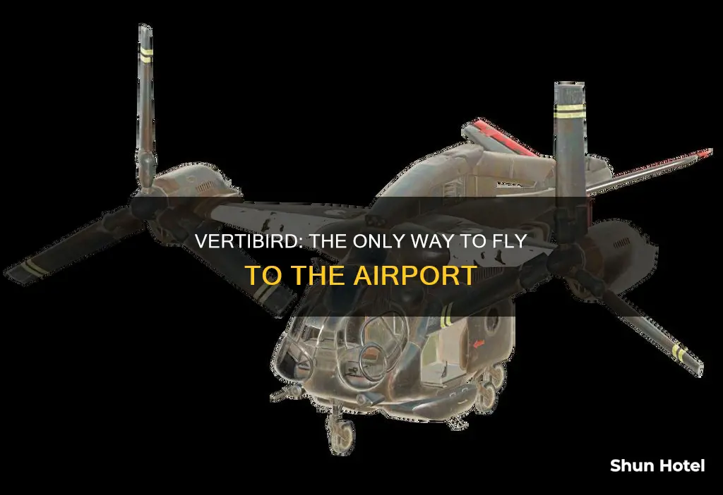 can only fly vertibird to airport