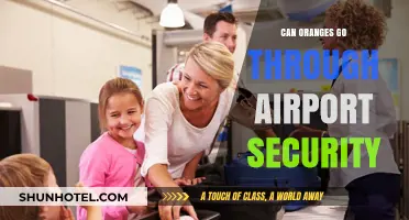 Airport Security: Oranges, a Threat or Not?