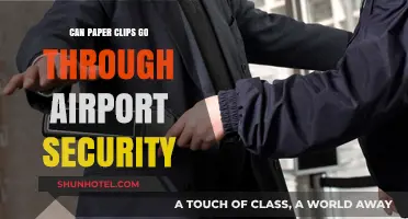 Are Paper Clips Allowed on Planes? Airport Security Guide