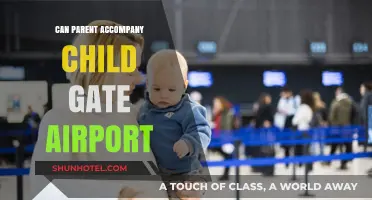 Parents at the Gate: Accompanying Children at Airports