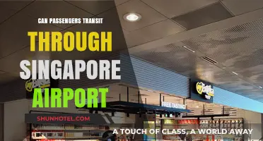 Singapore Airport Transit: What You Need to Know