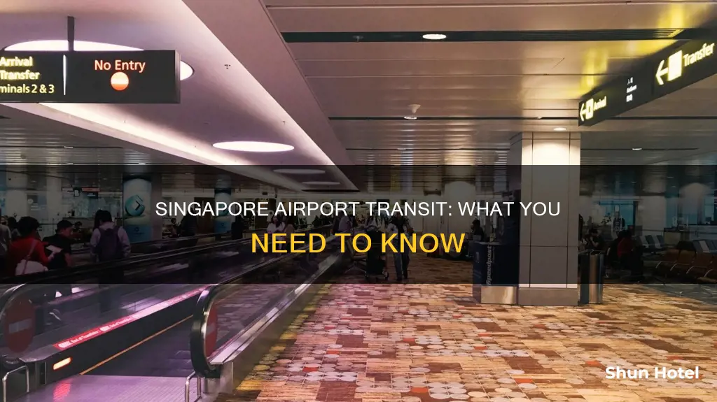 can passengers transit through singapore airport