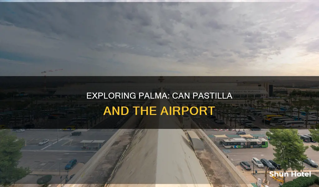 can pastilla palma airport