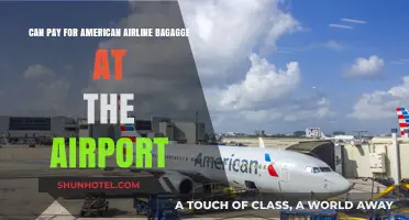 American Airlines: Paying for Baggage at the Airport