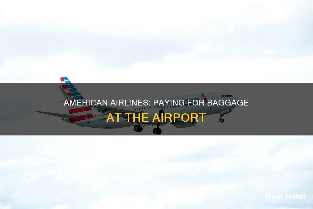 can pay for american airline bagagge at the airport