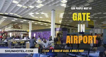 Waiting at the Airport Gate: Who, What, and Why