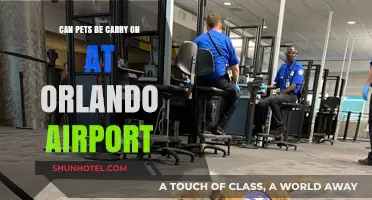 Orlando Airport: Can Pets Be Carry-Ons?