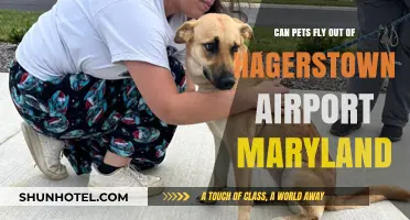 Hagerstown Airport: Pet-Friendly Flights in Maryland