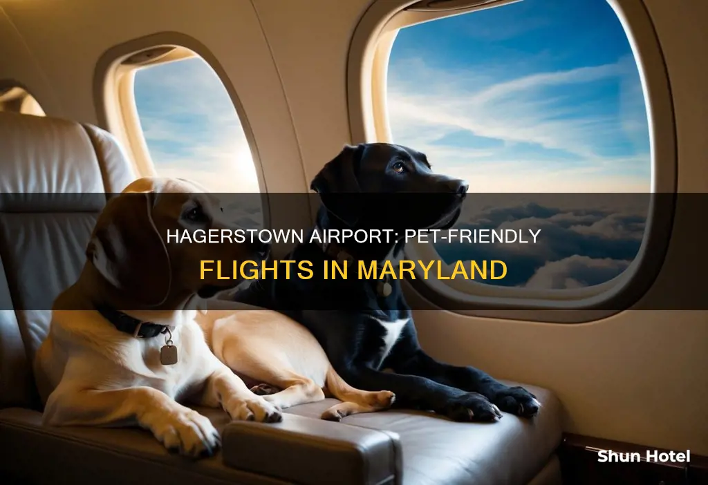 can pets fly out of hagerstown airport maryland