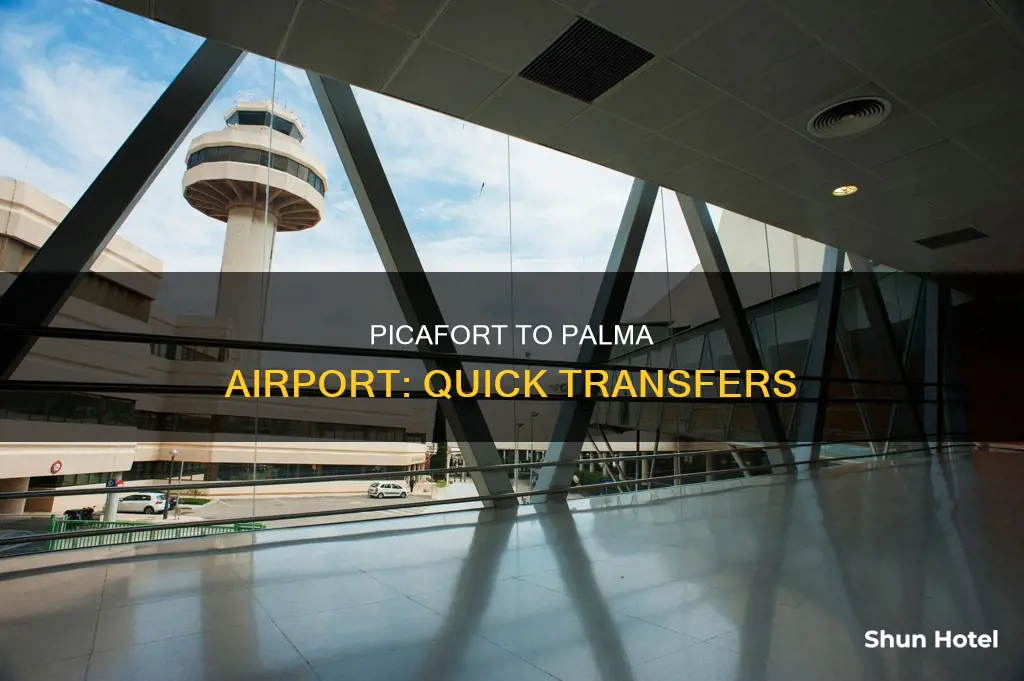 can picafort to palma airport