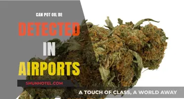 Airport Security: Can They Detect Pot Oil?