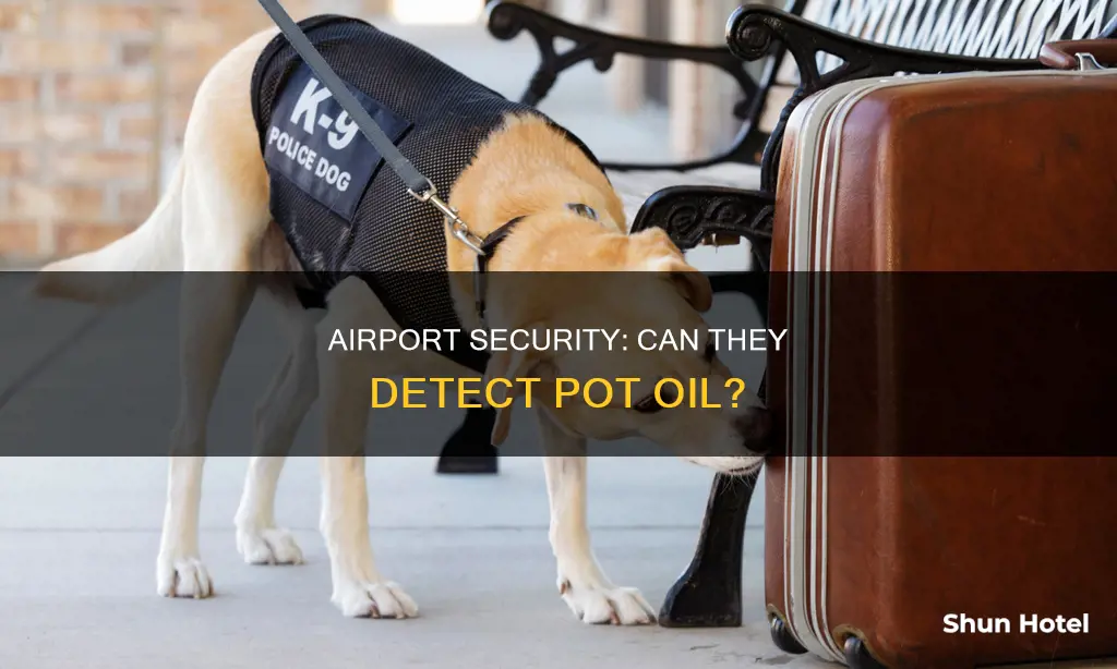 can pot oil be detected in airports