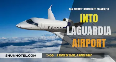 Corporate Jets at LaGuardia: Private Flights, Public Airport