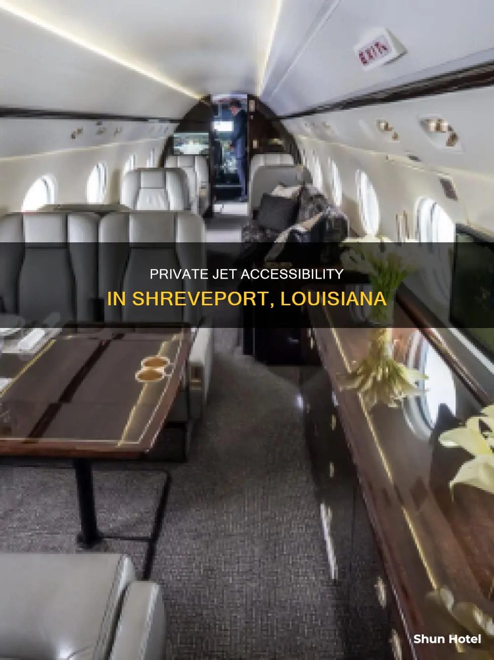 can private jets airport near shreveport la