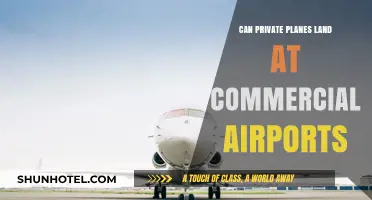 Private Jets: Commercial Airport Landing Rights