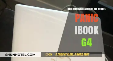 Fixing Kernel Panic in iBook G4: Airport Removal Solution?