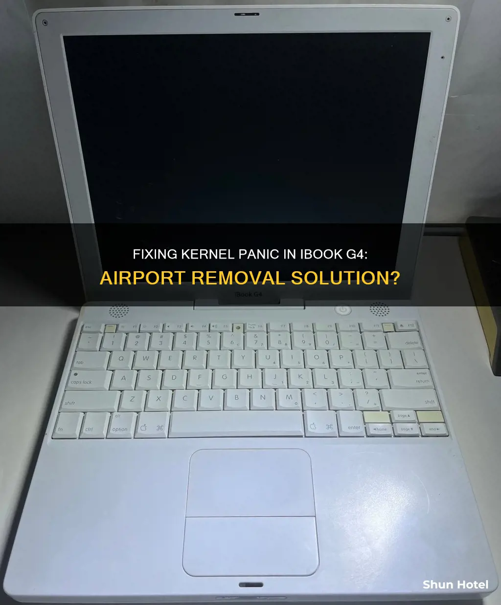 can removing airport fix kernel panic ibook g4