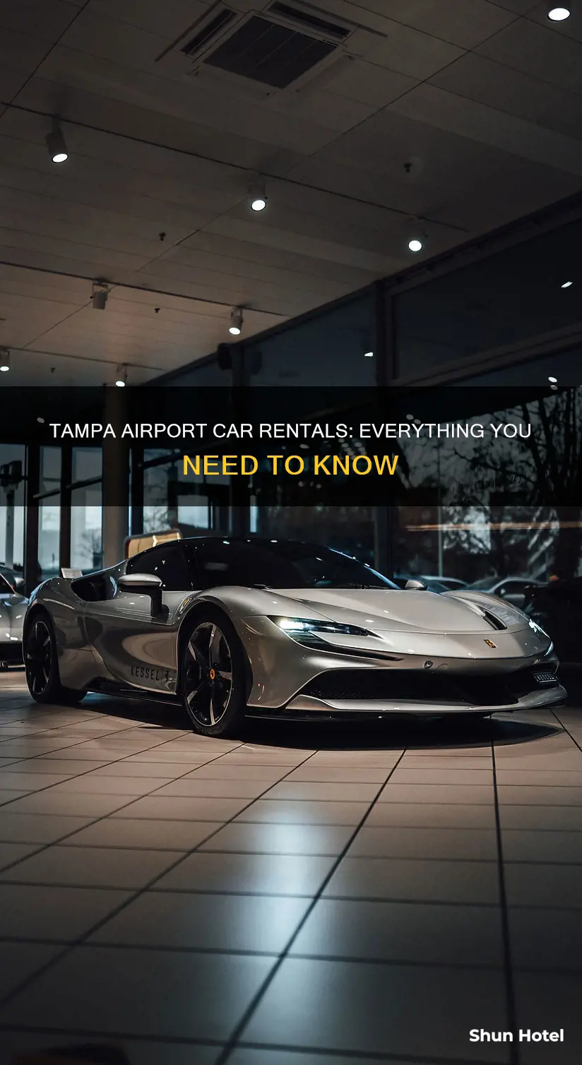 can rental tampa airport