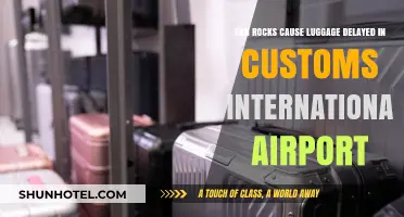 Strange Delays: Rocks in Luggage Hold Airports Up