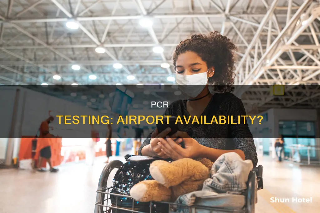 can rt pcr test be done at airport