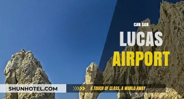 San Lucas Airport: Can it Handle the Demand?