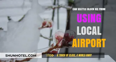 Seattle vs. Ice: Airport Blockade Battle