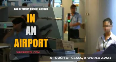 Security Escorts: Airport Companion or No?